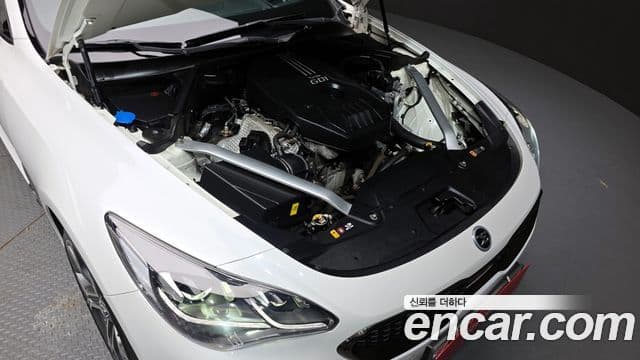 Kia 스팅어 Platinum, 2019 6