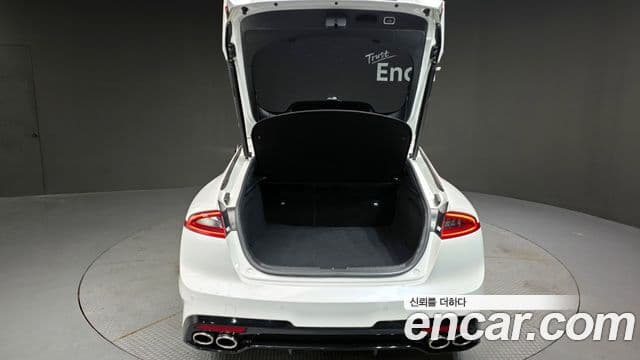 Kia 스팅어 Platinum, 2019 20