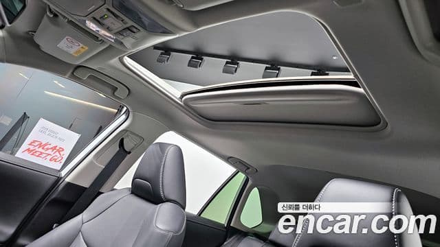 Toyota RAV4 5세대 2.5 4WD гибрид LTD, 2023 19