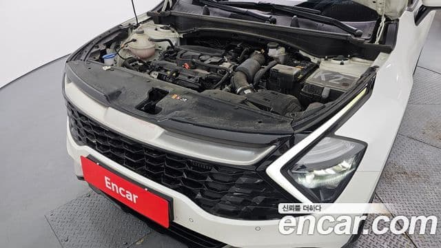 Kia Sportage 5세대 Noblesse, 2023 6