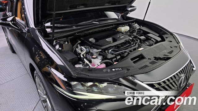 Lexus ES300h 7세대 Executive, 2025 6