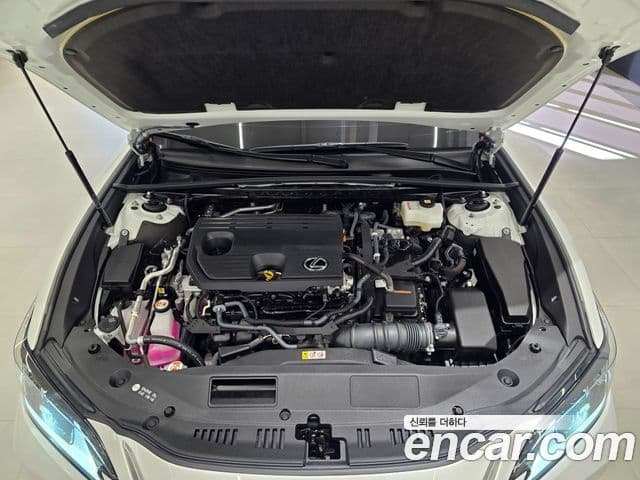 Lexus ES300h 7세대 Executive, 2026 6