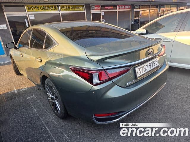 Lexus ES300h 7세대 Luxury Plus, 2021 6