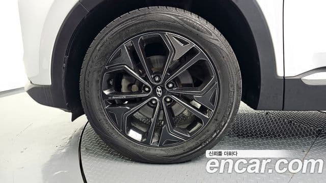 Hyundai Santa Fe TM Prestige, 2019 все фото