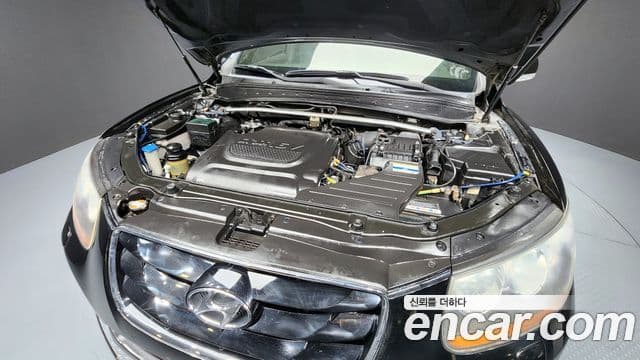 Hyundai Santa Fe CM Premium, 2011 6