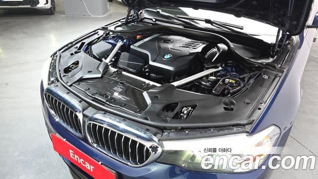 BMW 5시리즈 (G30) Luxury, 2020 6