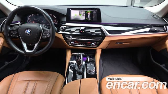 BMW 5시리즈 (G30) Luxury, 2020 7