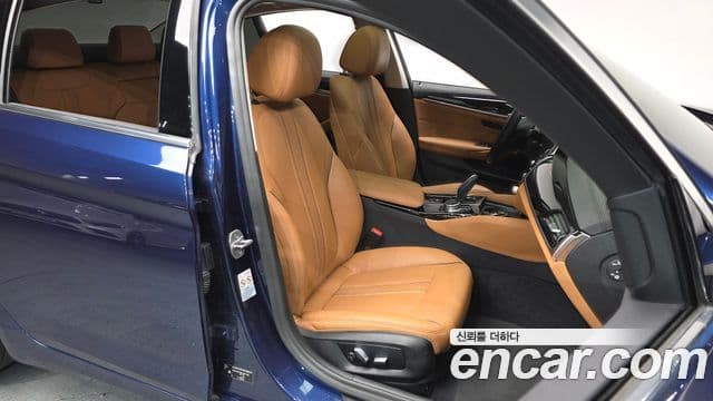 BMW 5시리즈 (G30) Luxury, 2020 12