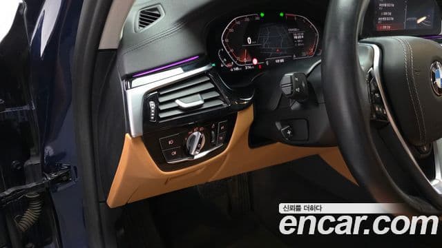 BMW 5시리즈 (G30) Luxury, 2020 13