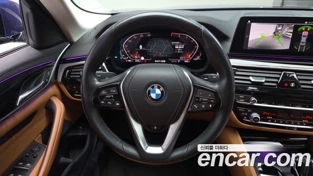 BMW 5시리즈 (G30) Luxury, 2020 14