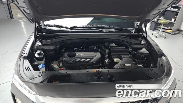 Hyundai Santa Fe TM Exclusive, 2020 6