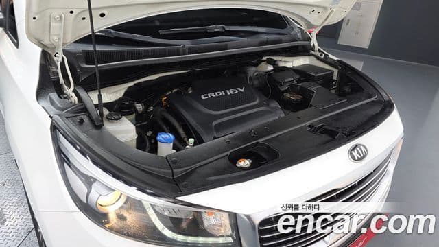 Kia All New Carnival Luxury, 2018 6