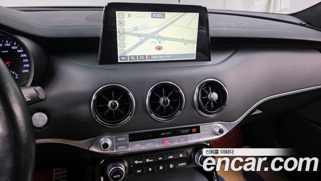 Kia 스팅어 Platinum, 2020 14