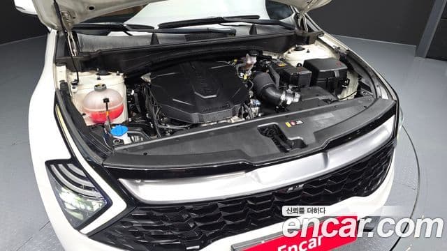 Kia Sportage 5세대 Noblesse, 2022 6