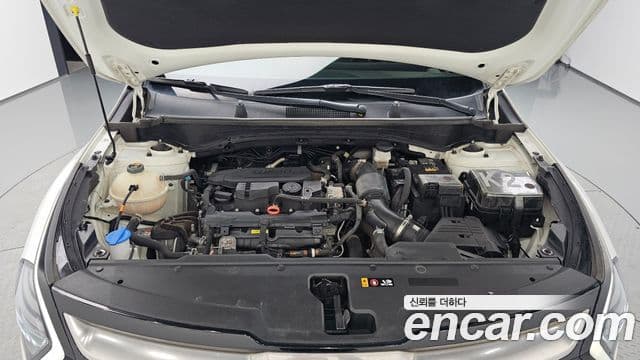 Kia Sportage 5세대 Noblesse, 2023 6