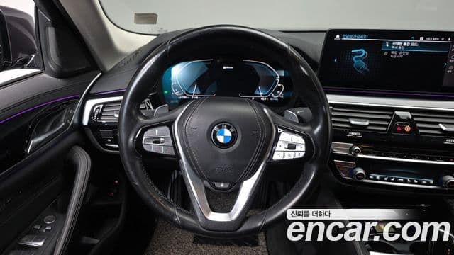 BMW 5시리즈 (G30) Luxury, 2021 14