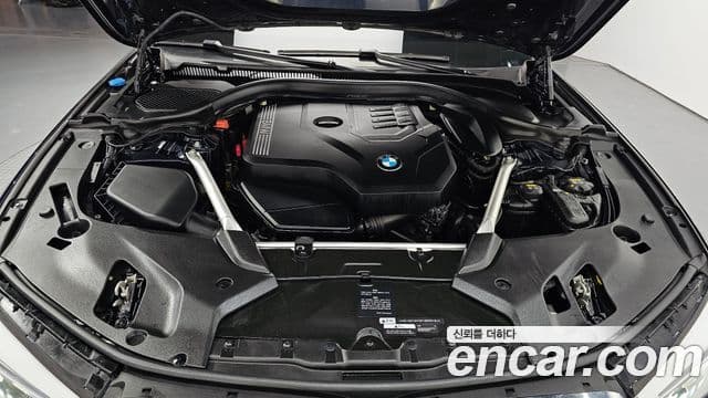 BMW 5시리즈 (G30) Luxury, 2020 6