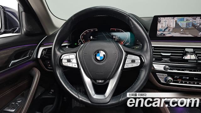 BMW 5시리즈 (G30) Luxury, 2020 13