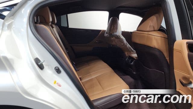 Lexus ES300h 7세대 Luxury Plus, 2019 12