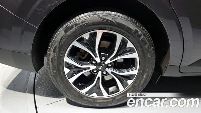 Kia Carnival 4세대 Prestige, 2021 все фото