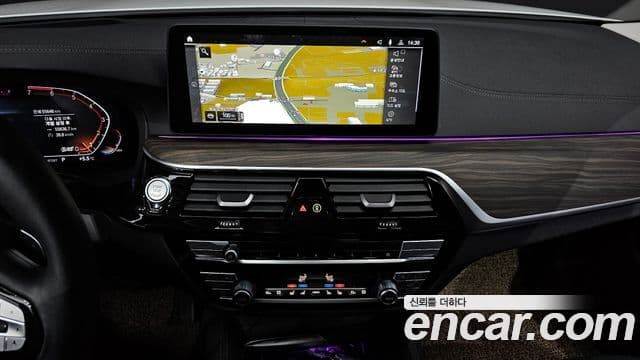 BMW 5시리즈 (G30) Luxury, 2023 14