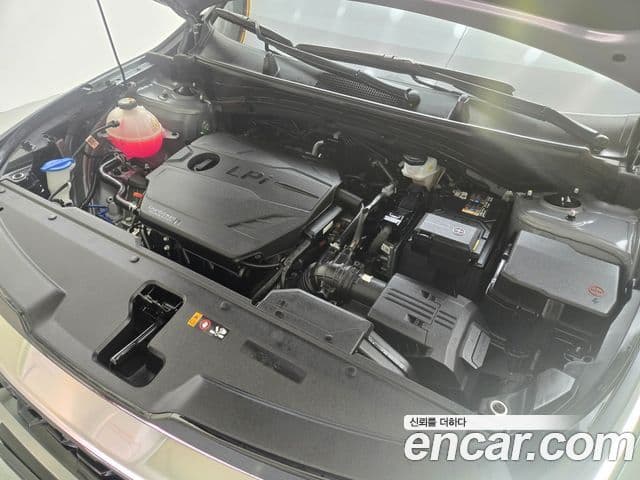 Kia Sportage 5세대 Signature, 2024 6