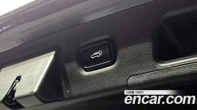 Hyundai Santa Fe TM Exclusive, 2020 17