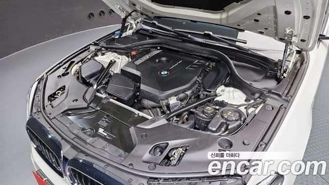 BMW 5시리즈 (G30) 530i xDrive M Sport Plus, 2018 6