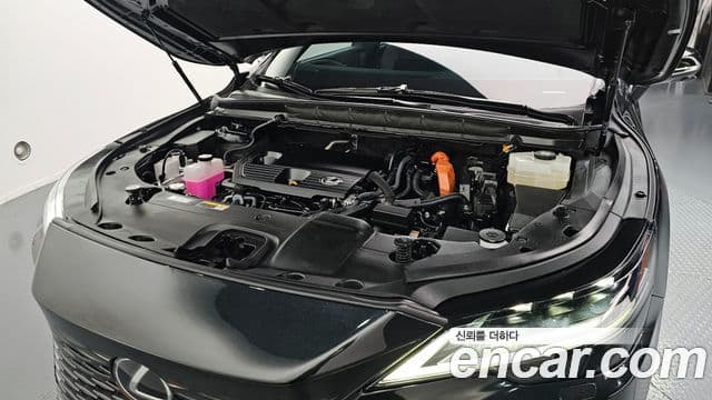 Lexus RX350h 5세대 Luxury, 2023 6