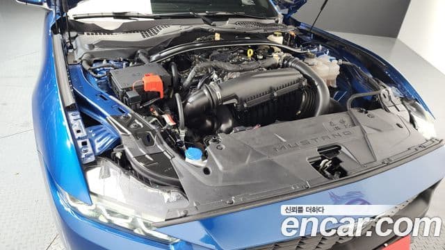 Ford Mustang 7세대 2.3 EcoBoost Premium кабриолет, 2024 6
