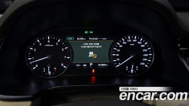 Kia The / новый K9 PlatinumⅡ, 2019 8