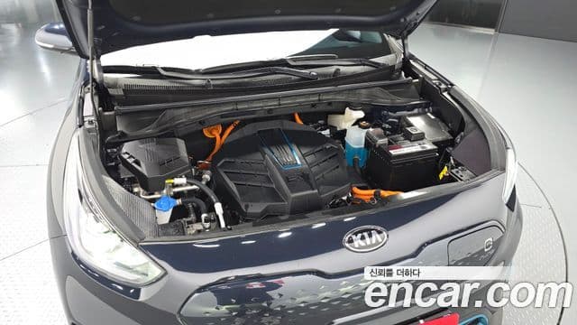 Kia Niro EV Noblesse, 2021 6