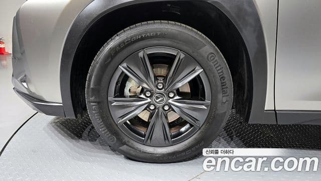 Lexus UX300h, 2025 все фото