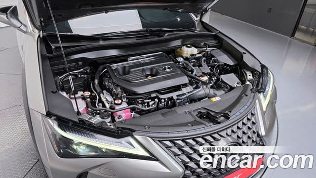 Lexus UX300h, 2025 6