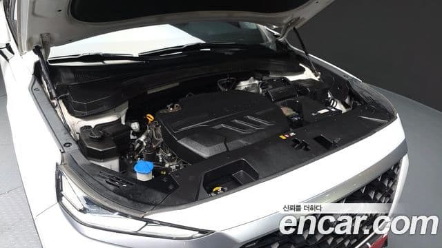 Hyundai Santa Fe TM Exclusive, 2019 6