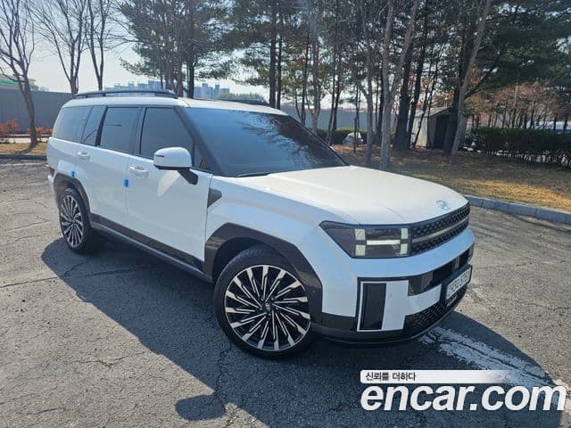 Hyundai Santa Fe (MX5) Calligraphy, 2024 7