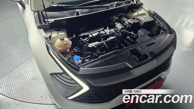 Kia Sportage 5세대 Signature, 2022 6