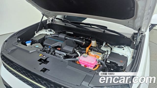 Hyundai Santa Fe (MX5) Calligraphy, 2024 6