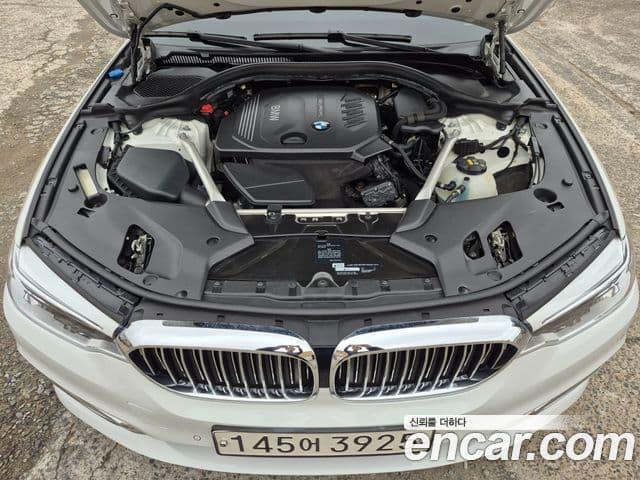 BMW 5시리즈 (G30) 520d Luxury Plus, 2018 6