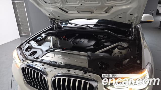 BMW X4 (G02) xDrive20d xLine, 2020 6