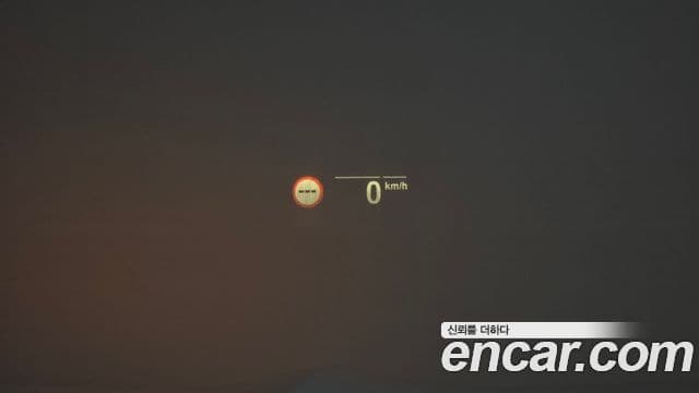 BMW X4 (G02) xDrive20d xLine, 2020 14