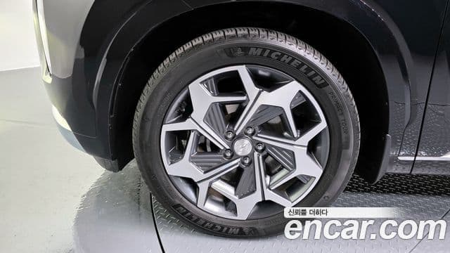 Hyundai Palisade Calligraphy, 2021 все фото