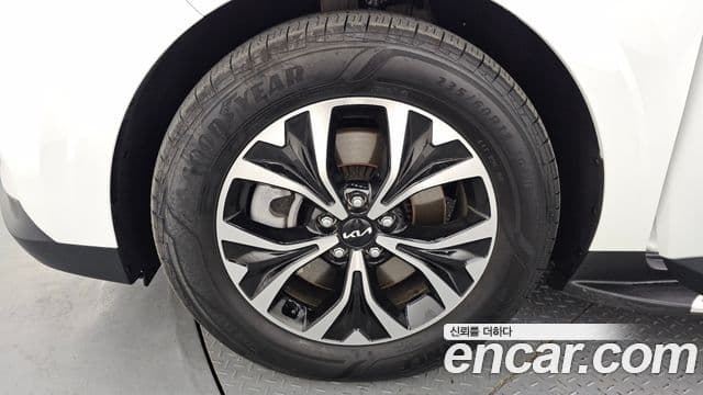 Kia Carnival 4세대 Noblesse, 2023 все фото