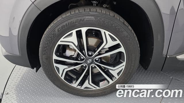 Hyundai Santa Fe TM Exclusive Special, 2019 все фото