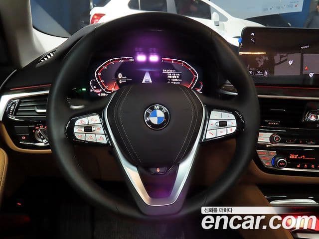 BMW 5시리즈 (G30) Luxury, 2023 8