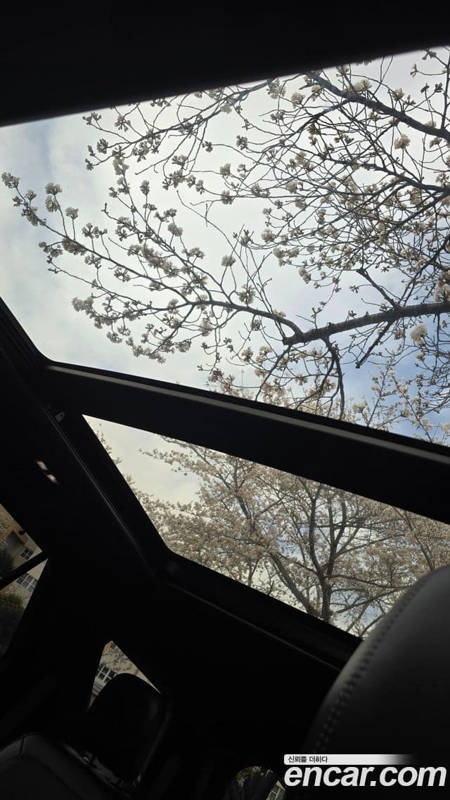 Ford Explorer 6세대 2.3 Limited 4WD, 2020 8