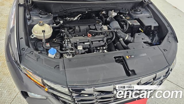 Hyundai Tucson (NX4) Inspiration, 2023 6