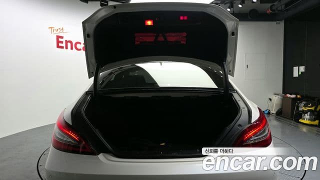 Mercedes-Benz CLS-класс W218 CLS250 d 4MATIC, 2016 19