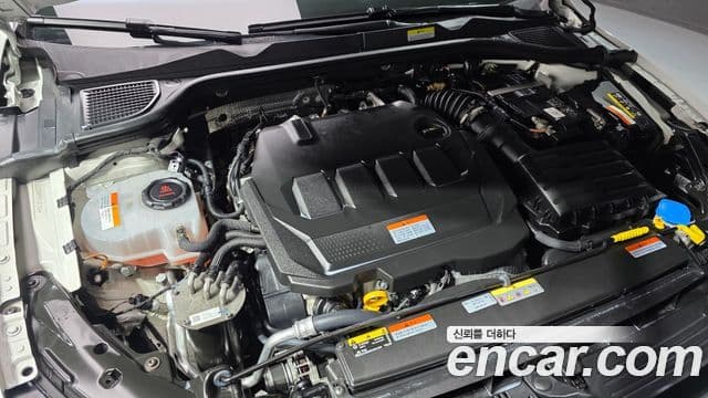 Volkswagen Гольф 8세대 Prestige, 2023 6