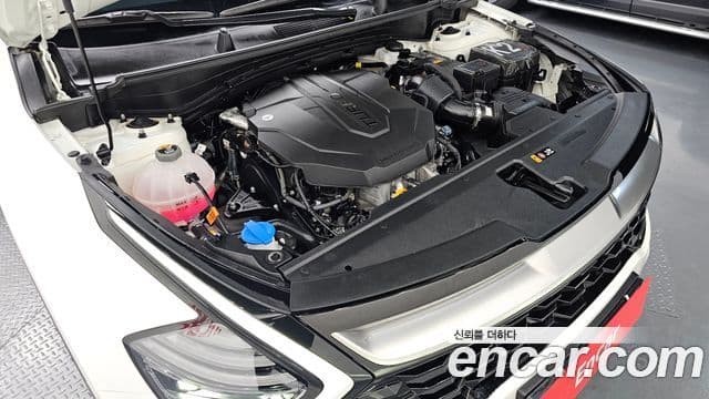 Kia Sportage 5세대 Noblesse, 2024 6